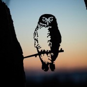 Metalbird Southern Boobook Owl